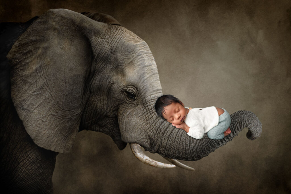 newborn elephant trunk